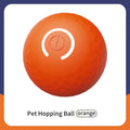 Aural Paws™ Motion Ball
