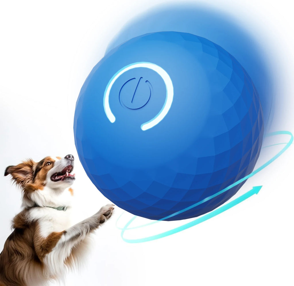 Aural Paws™ Motion Ball