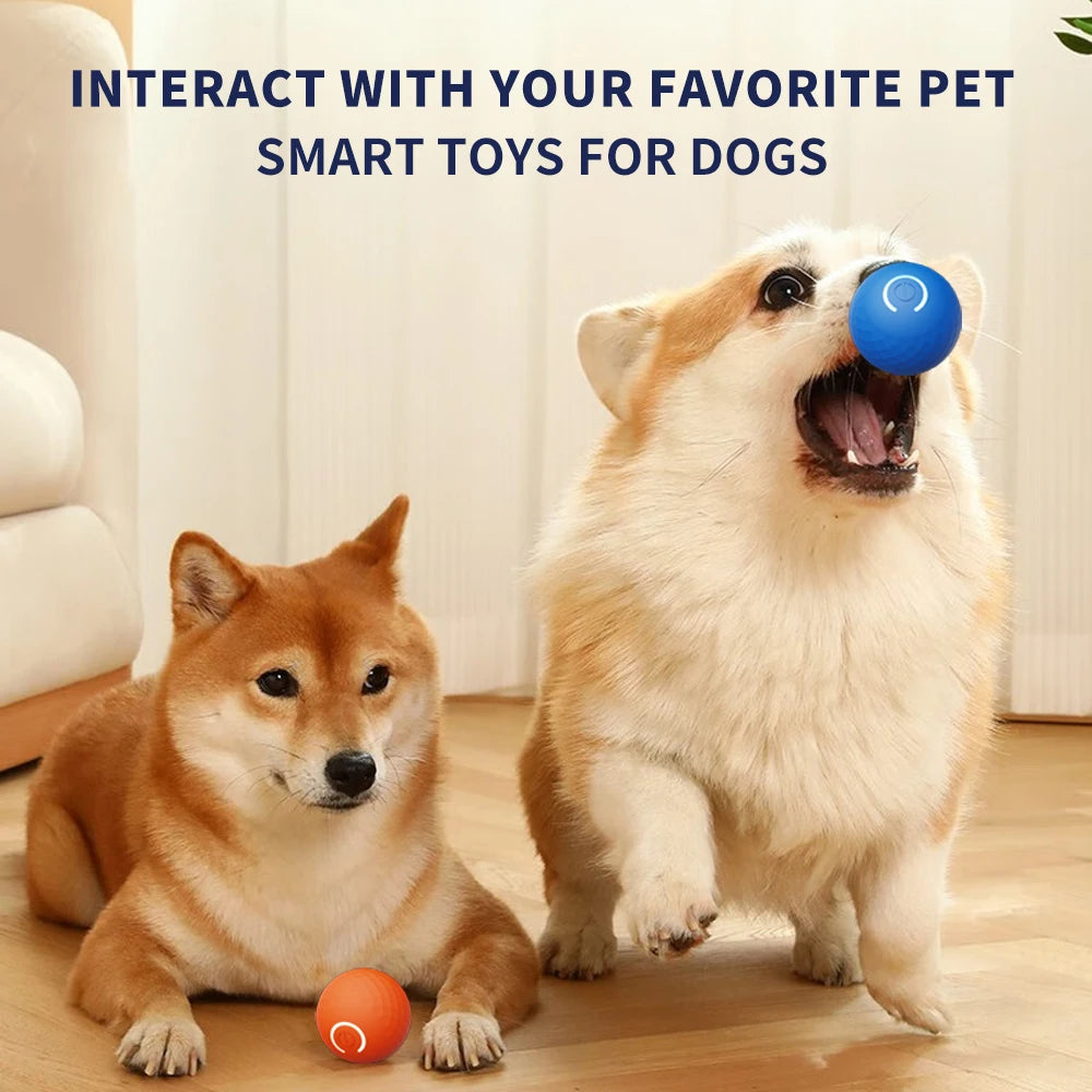 Aural Paws™ Motion Ball