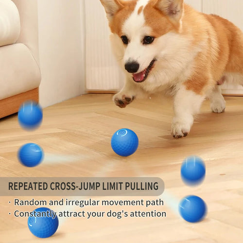 Aural Paws™ Motion Ball