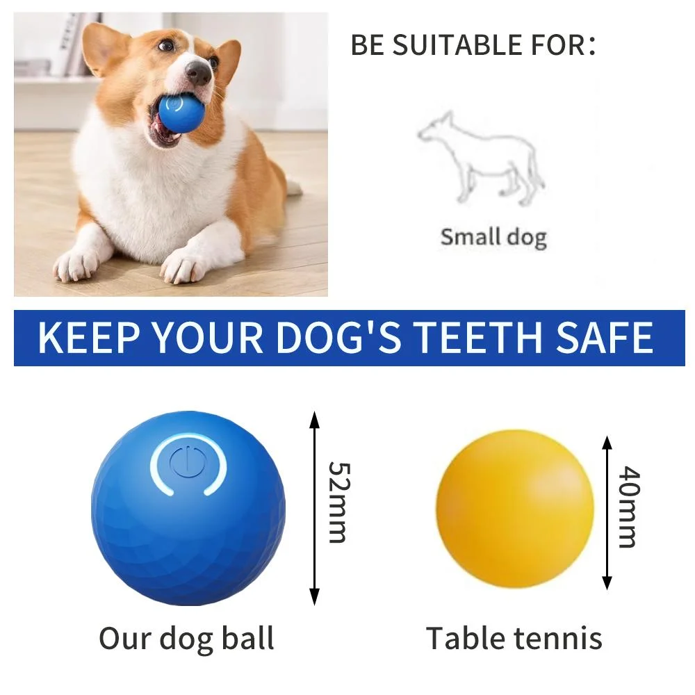 Aural Paws™ Motion Ball