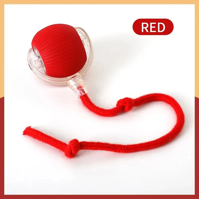 Aural Paws™ Motion Ball