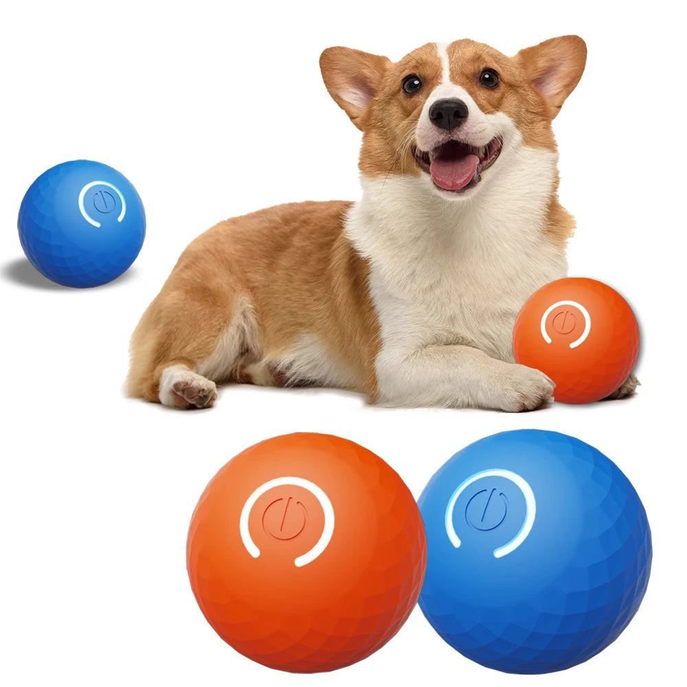 Aural Paws™ Motion Ball